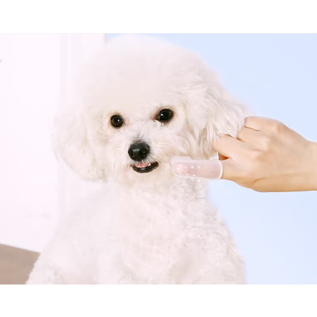 Bàn chải silicone cho thú cưng đánh răng và chải lưỡi