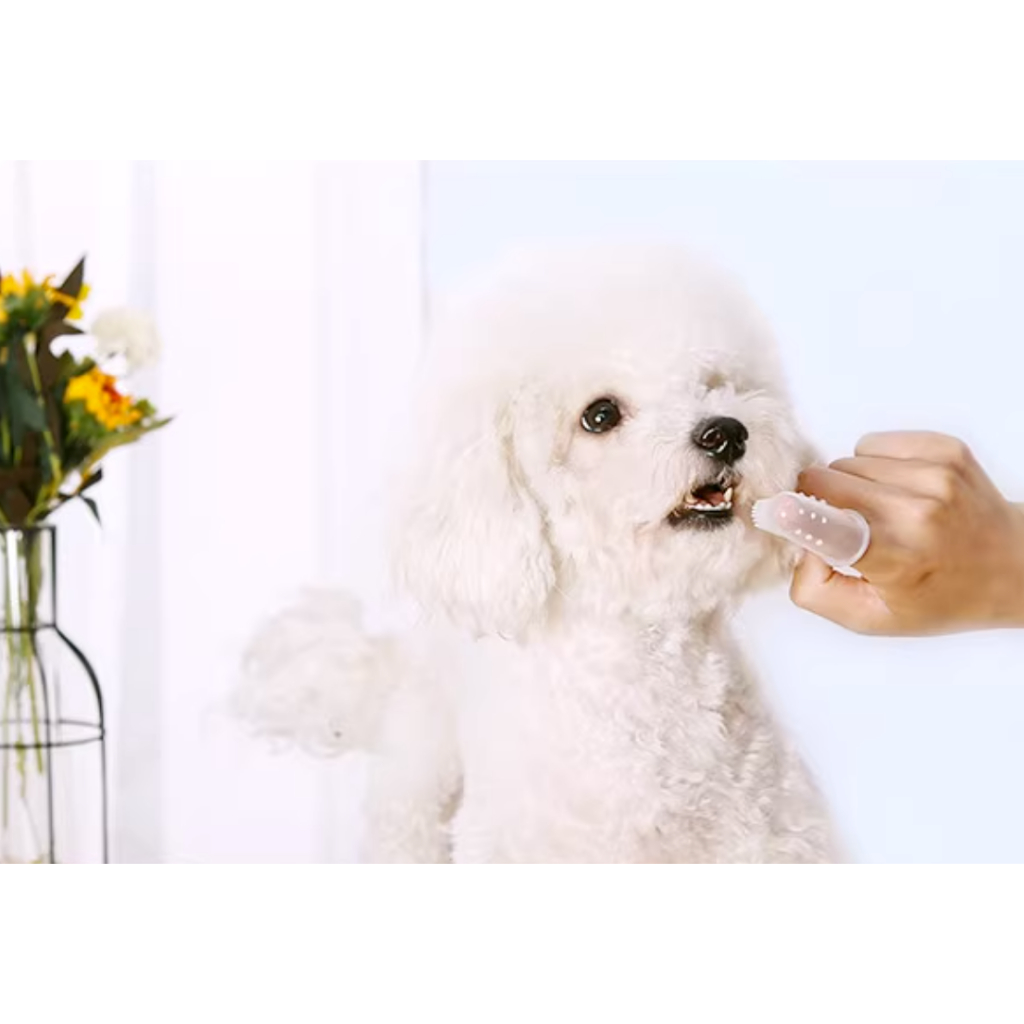 Bàn chải silicone cho thú cưng đánh răng và chải lưỡi