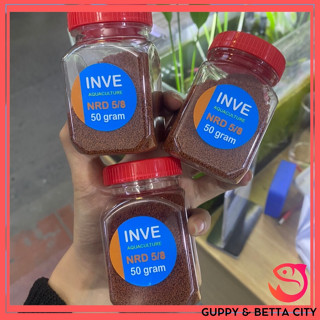 Thức ăn cho cá Cám Thái Inve loại tốt cho cá bảy màu Guppy, cá con, cá cảnh thủy sinh lên màu đẹp