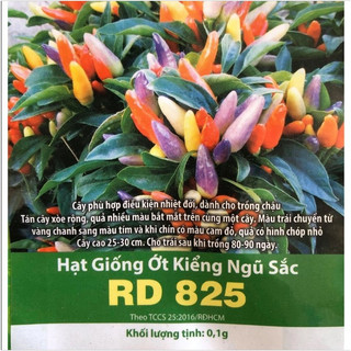 Hạt giống Ớt Kiểng Ngũ Sắc Rd 825 (0.1g)