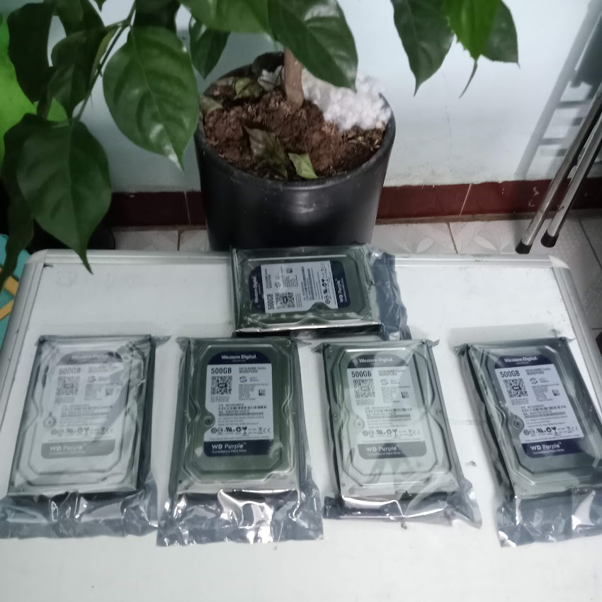 Ổ Cứng HDD 500GB WD Purple chuyên CAMERA  tháo máy