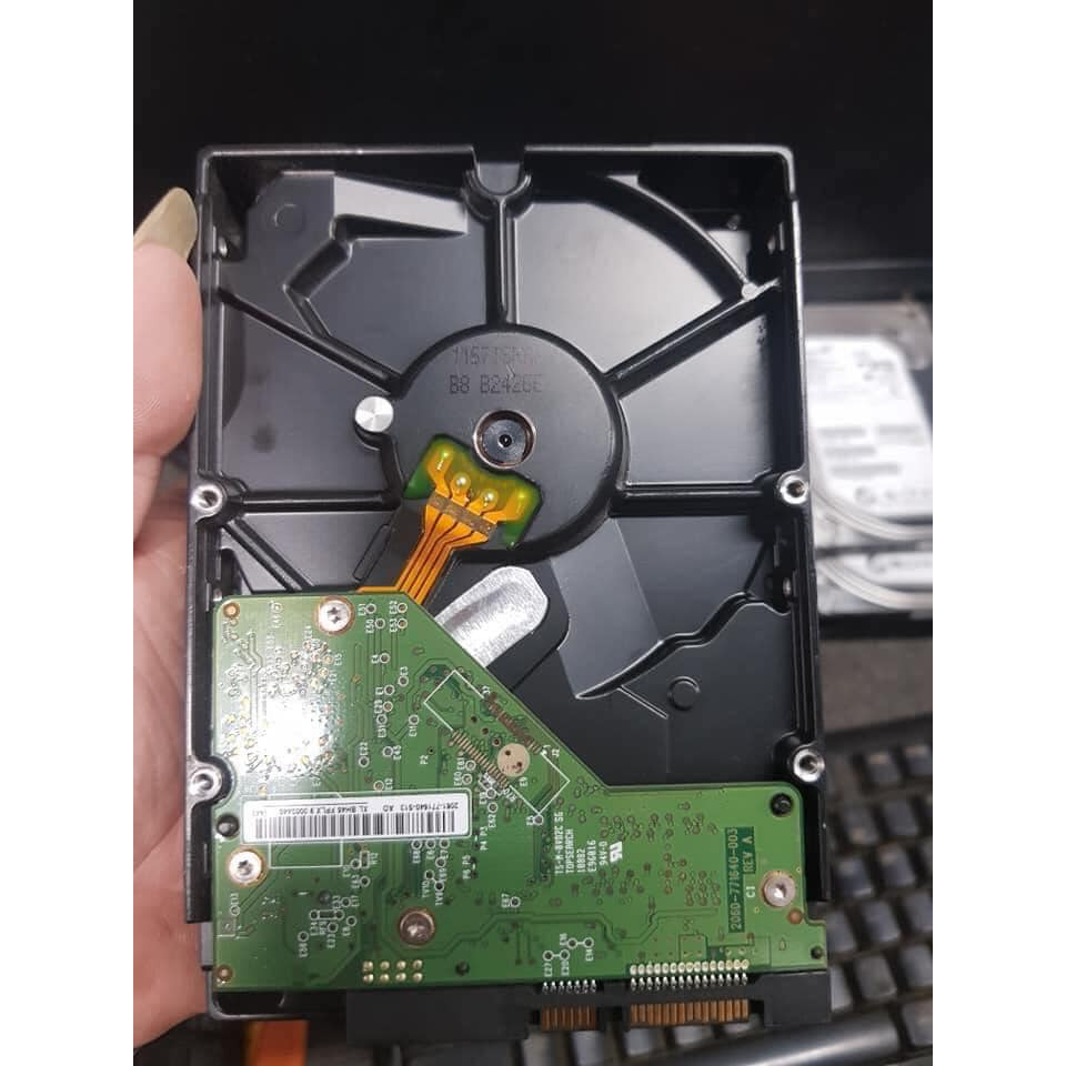 Ổ Cứng HDD 500GB WD Purple chuyên CAMERA  tháo máy