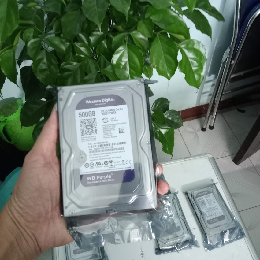 Ổ Cứng HDD 500GB WD Purple chuyên CAMERA  tháo máy