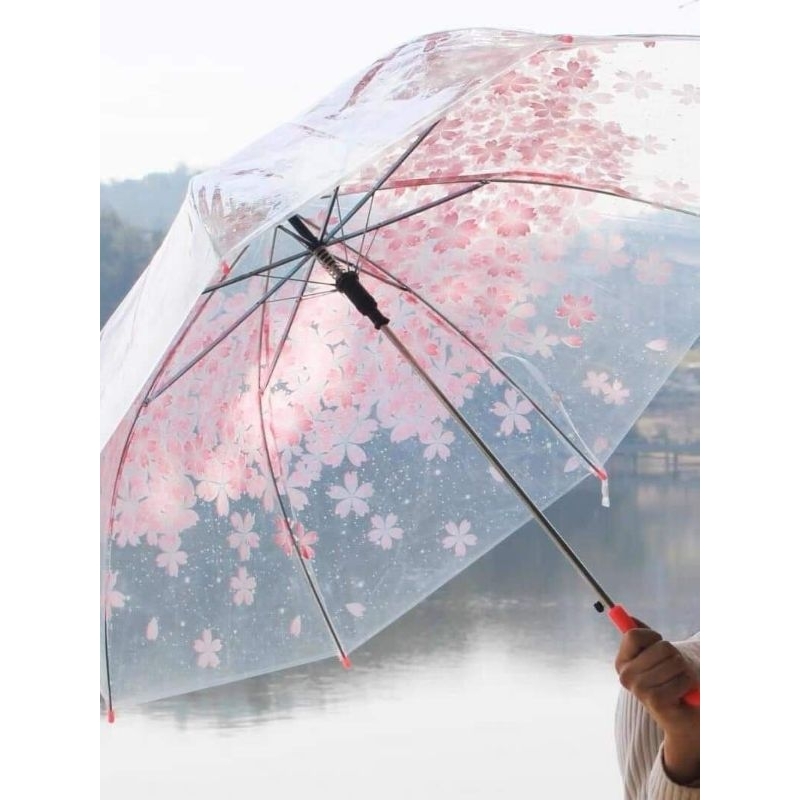 Ô dù trong suốt hoa đào đủ màu