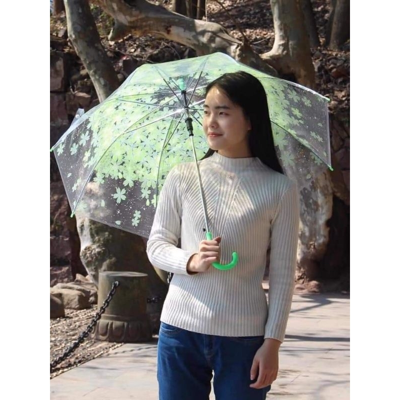 Ô dù trong suốt hoa đào đủ màu