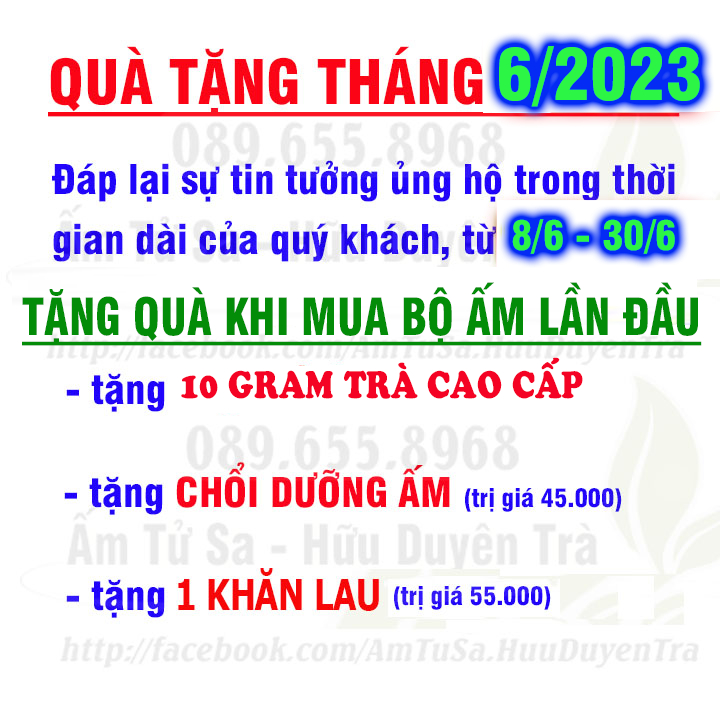 Ấm trà Tử Sa tây thi Vương Gia (cao cấp) - ấm tử sa nghi hưng dùng trà đạo cùng trà ô long, trà mạn,trà thái nguyên | BigBuy360 - bigbuy360.vn