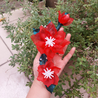 Set hoa voan cài áo màu đỏ trang trí áo có ghim cài