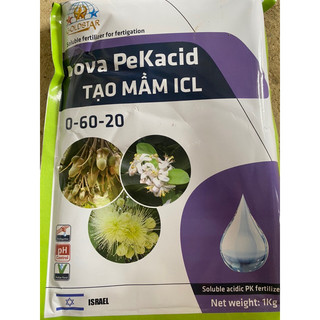 Nova pekacid tạo mầm icl 0-60-20