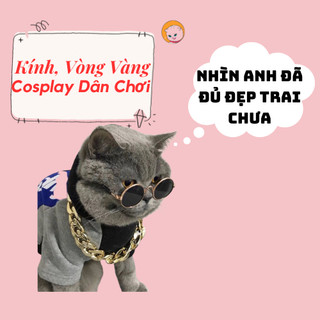 Kính mắt chó mèo thời trang - Kính mắt thú cưng nhiều màu 🌈