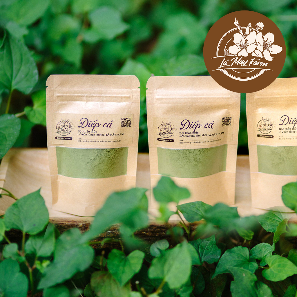 Bột thảo mộc Diếp cá detox giải độc gan, làm mặt nạ ngăn ngừa mụn - Vườn rừng Lá Mây Farm
