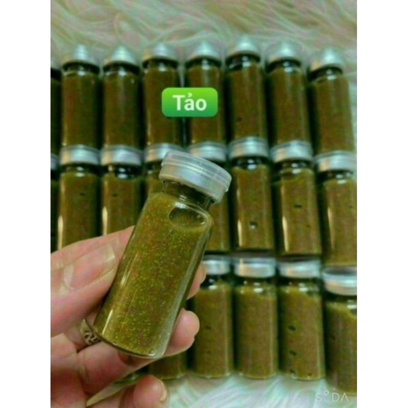 Vi tảo dành cho mặt, nách, mông, lưng bị mụn thâm handmade.