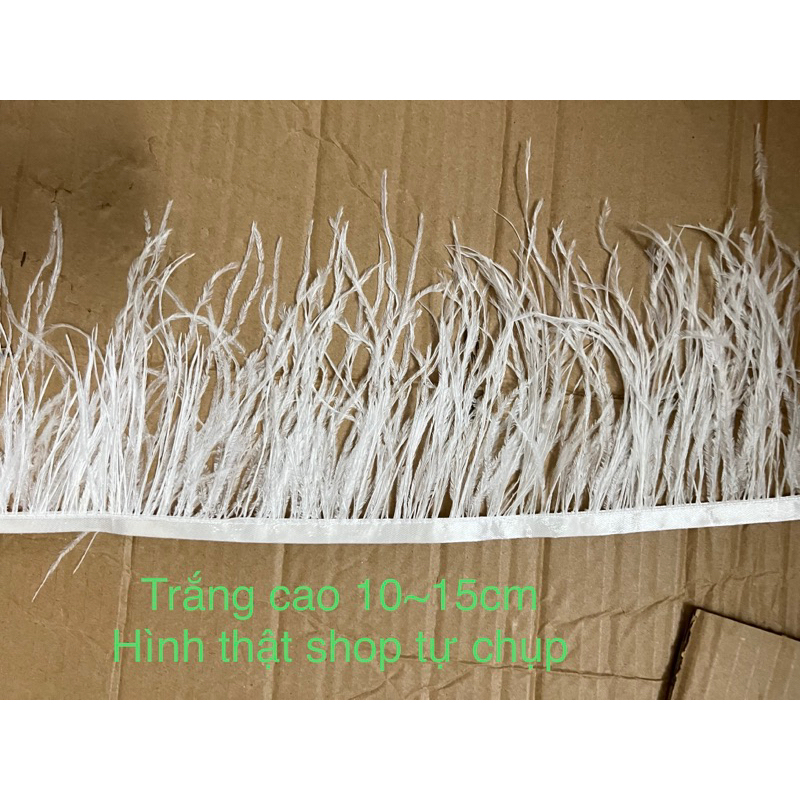 Lông Vũ Đà Điểu Cao Cấp, Dùng Trong May Mặc, Trang Trí Áo Váy Đầm