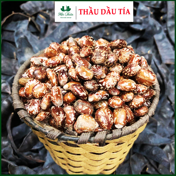 Hạt thầu dầu tía kích mọc tóc 100g