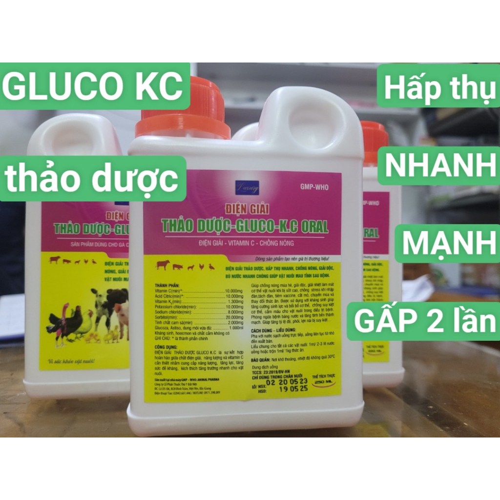 Điện giải Gluco KC thảo dược 250 ml & 1 lít : thanh mát, giải nhiệt mùa hè cho thú cưng, gsgc