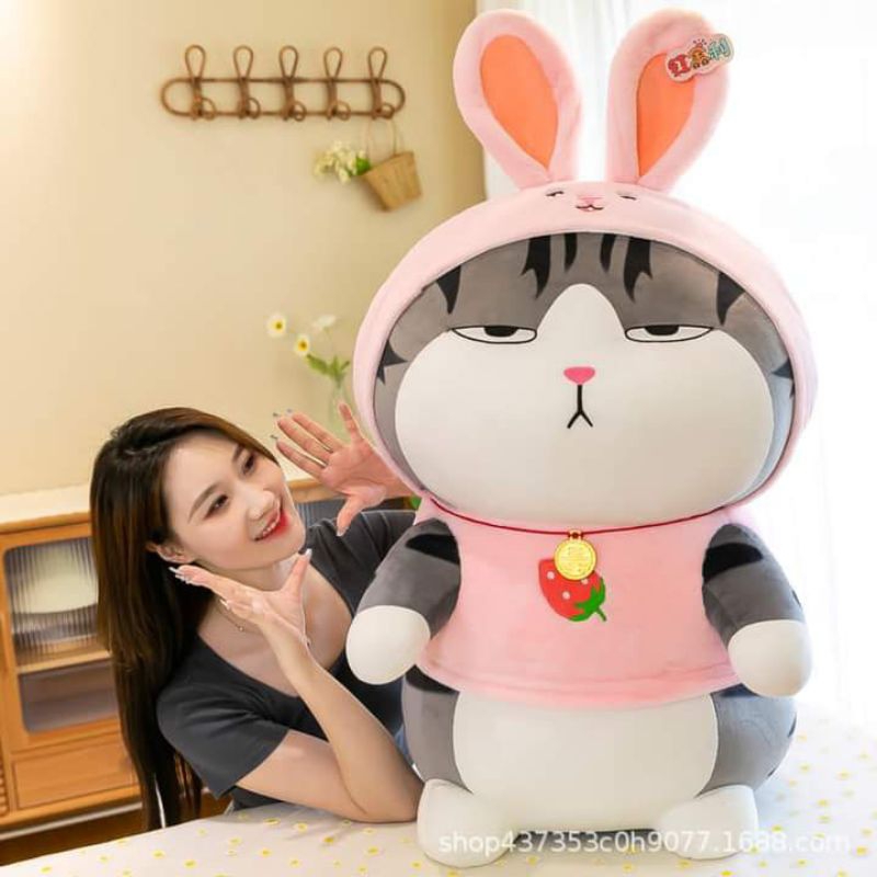 Gấu bông mèo hoàng thương cosplay thỏ