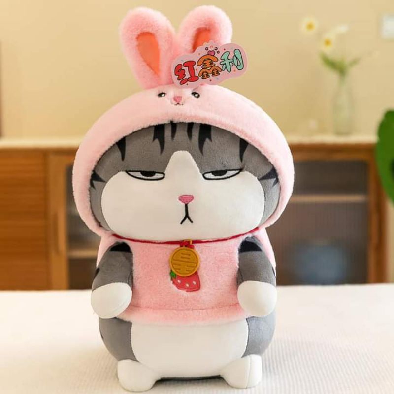 Gấu bông mèo hoàng thương cosplay thỏ