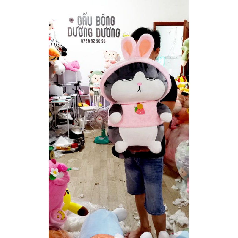 Gấu bông mèo hoàng thương cosplay thỏ