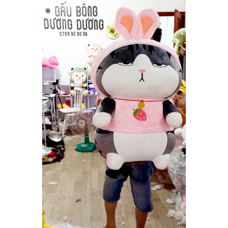 Gấu bông mèo hoàng thương cosplay thỏ