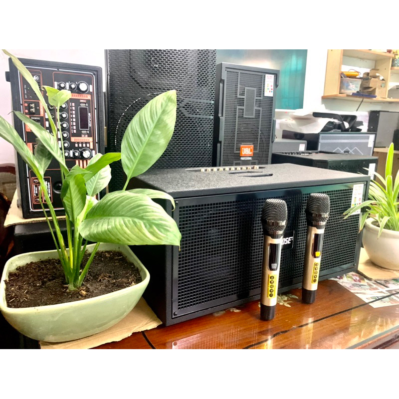 Loa kéo xách tay bass 20