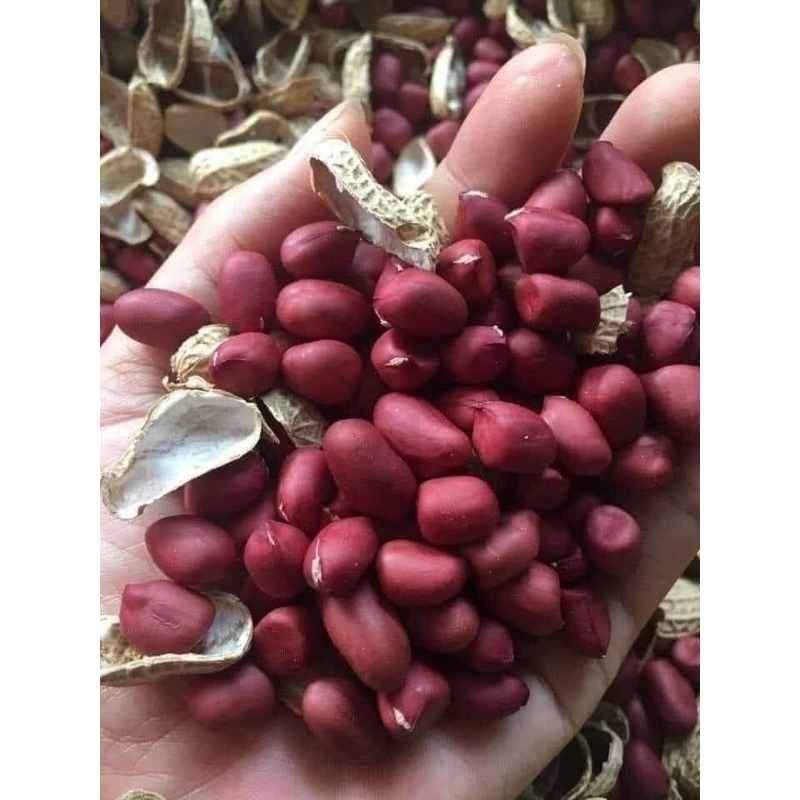 Lạc đỏ Nương Tây Bắc giống cũ hàm lượng tinh dầu cao (500g)