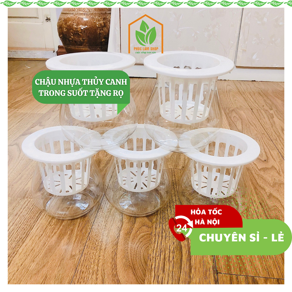 Chậu nhựa trồng cây thủy canh loại đep, chậu thủy canh, bình trồng cây thủy sinh bằng nhựa trong suốt (tặng giỏ nhựa)