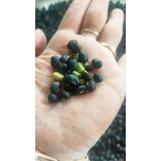 Bột đậu đen xanh lòng rang xay 500gr