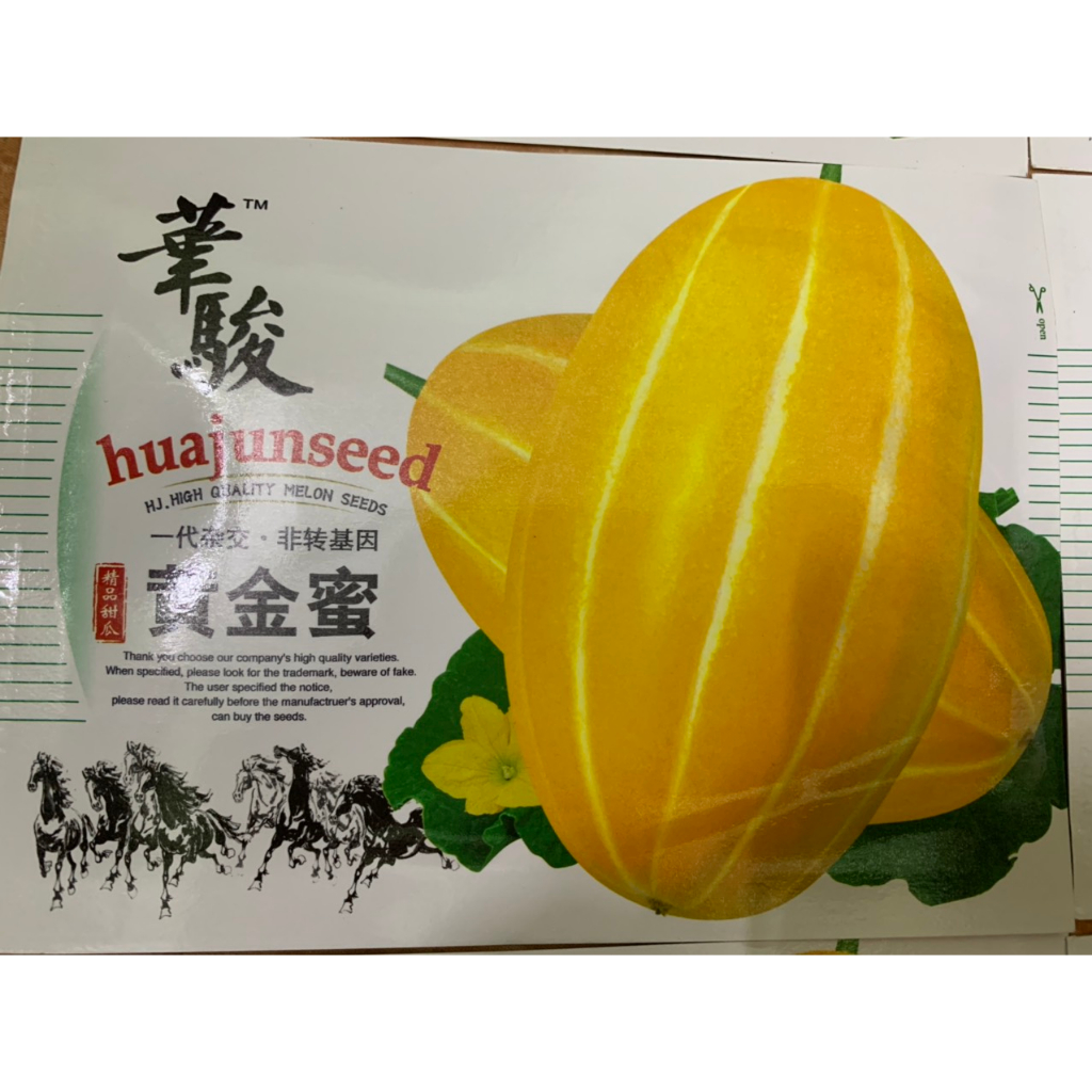 hạt giống dưa lê hàn quốc nhập khẩu đài loan nguyên bao bì