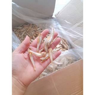 1kg cá cơm trắng loại ngon giàu dinh dưỡng