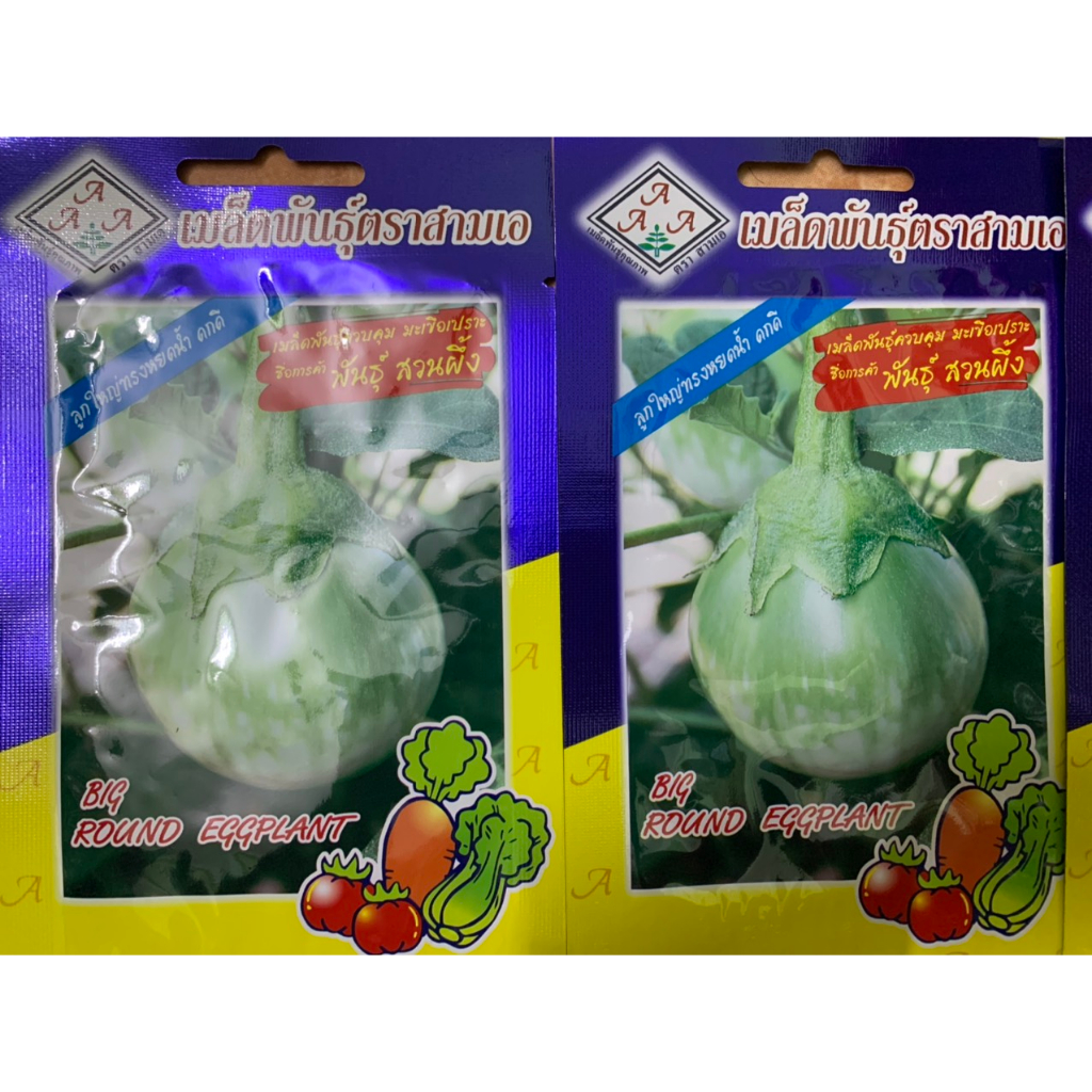 hạt giống cà dừa xanh khổng lồ nhâp khẩu thái lan