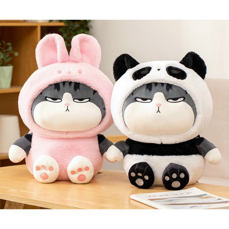 Gấu bông Mèo hoàng thượng Cosplay. Nhà Gấu biết vì sao mã mèo này ch.áy hàng rồi, vì nó quá dễ thương đó