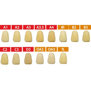 Composite lỏng Any-Com