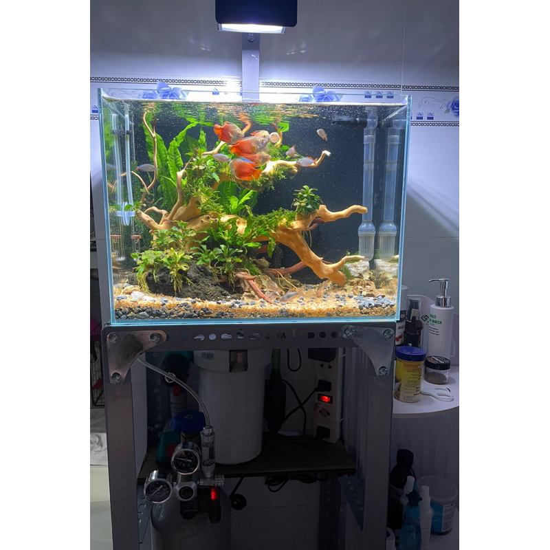 Đèn Thuỷ sinh Nano 5054 WRGB - UvA