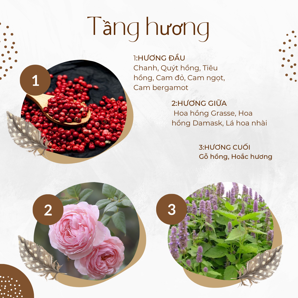 Nước hoa chiết Miss Dior Nước hoa nữ dịu dàng trang nhã- chiết 10ml ,Hakata Official