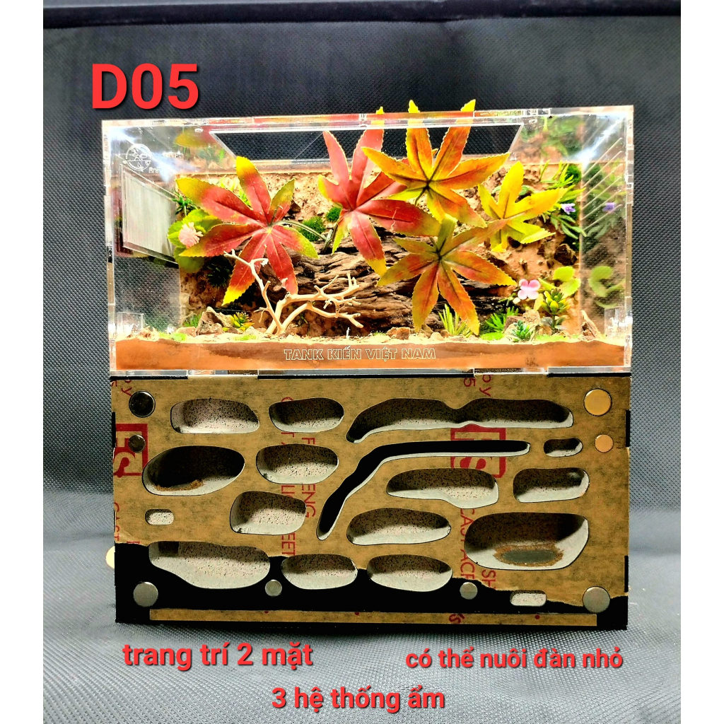 Tank nuôi kiến - Hộp mica nuôi kiến - Tank nuôi kiến thiết kế D05 - Y tông