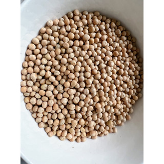 Đậu hà lan vàng nguyên hạt 500g