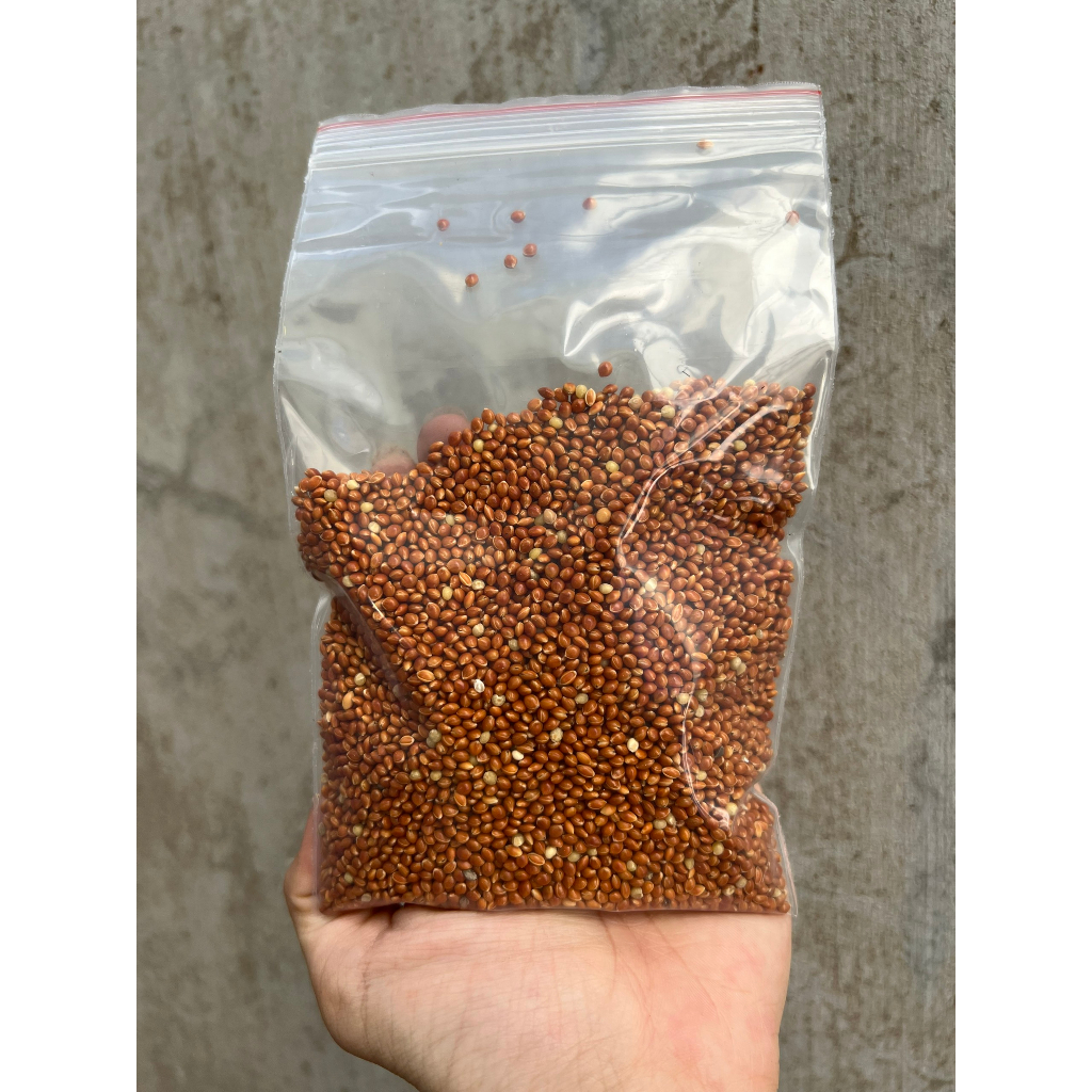 Hạt kê bóng đỏ 100g