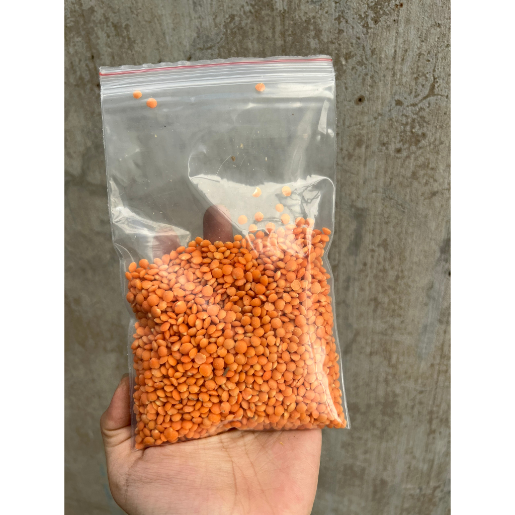 [100g] Đậu lăng đỏ nguyên hạt 100g