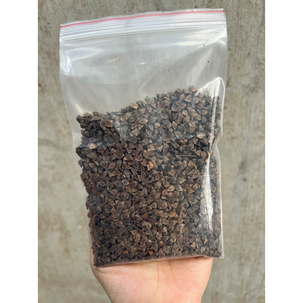 [200g] Hạt ba khía 200g cho hamster