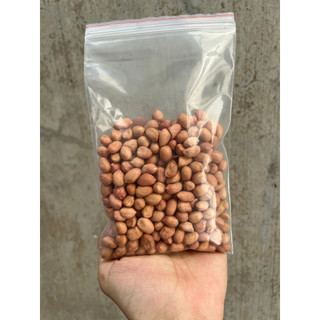 Đậu phộng sống 100g