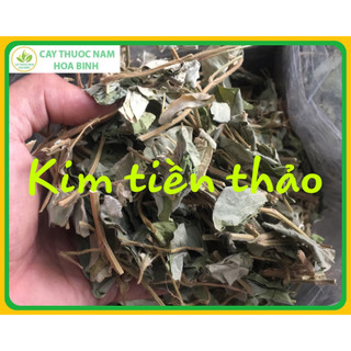 [GIÁ TẠI NGUỒN] 1kg Kim Tiền Thảo (xanh, sạch, mới)