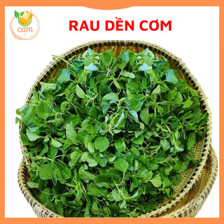 Hạt giống rau dền cơm 20gram, hạt giống chuẩn tỷ lệ nảy mầm cao