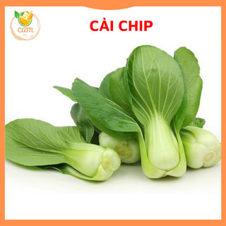 Hạt giống rau cải chíp 20gram, hạt giống chuẩn tỷ lệ nảy mầm cao