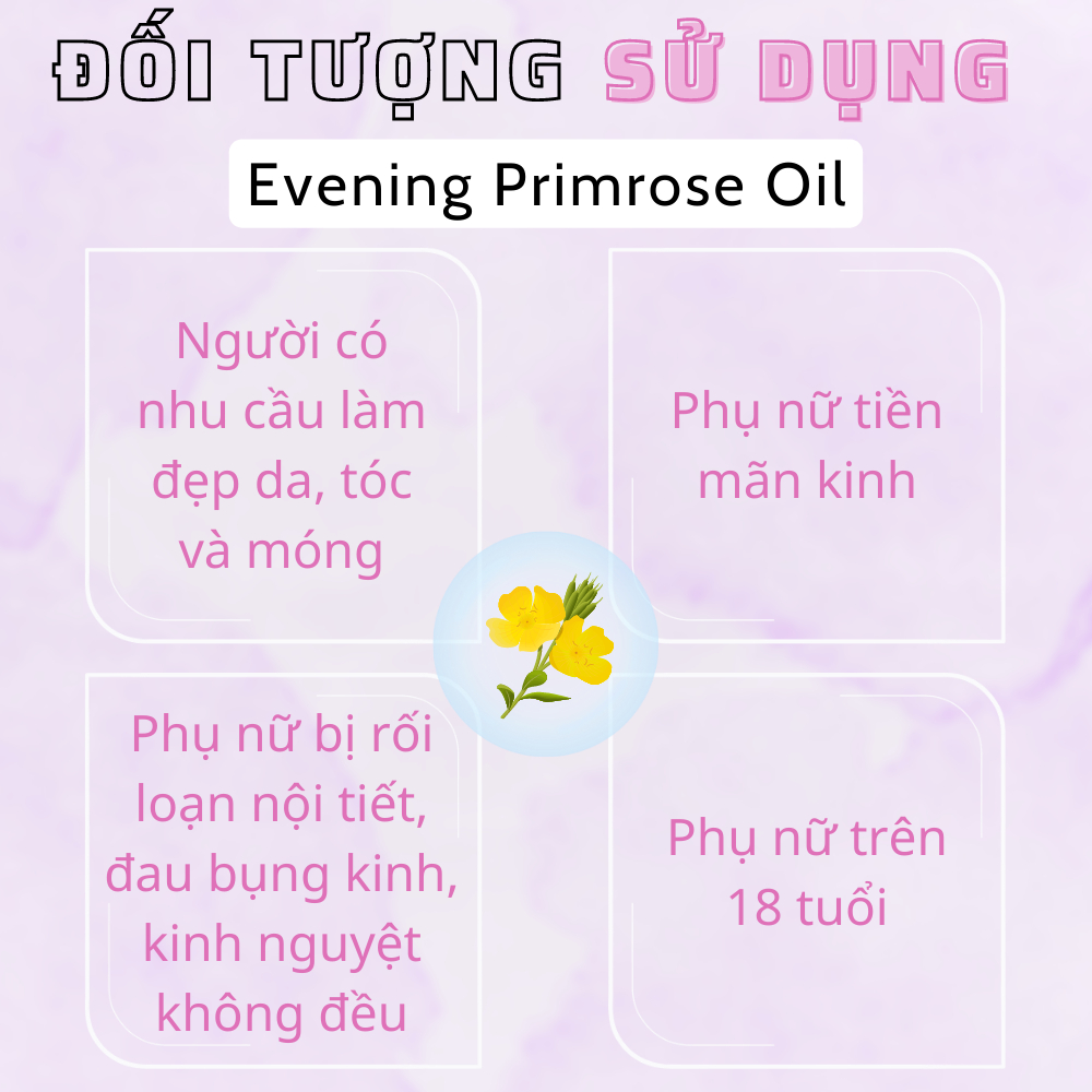 Viên uống tinh dầu hoa anh thảo VTM Evening Primrose Oil, hỗ trợ cân bằng nội tiết tố, làm đẹp da, tóc, móng