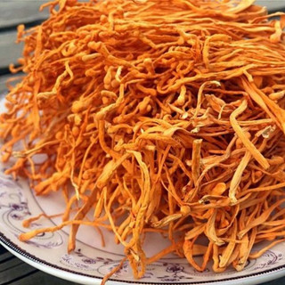 Đông trùng hạ thảo 100gr sấy khô sợi nhỏ nấu chè