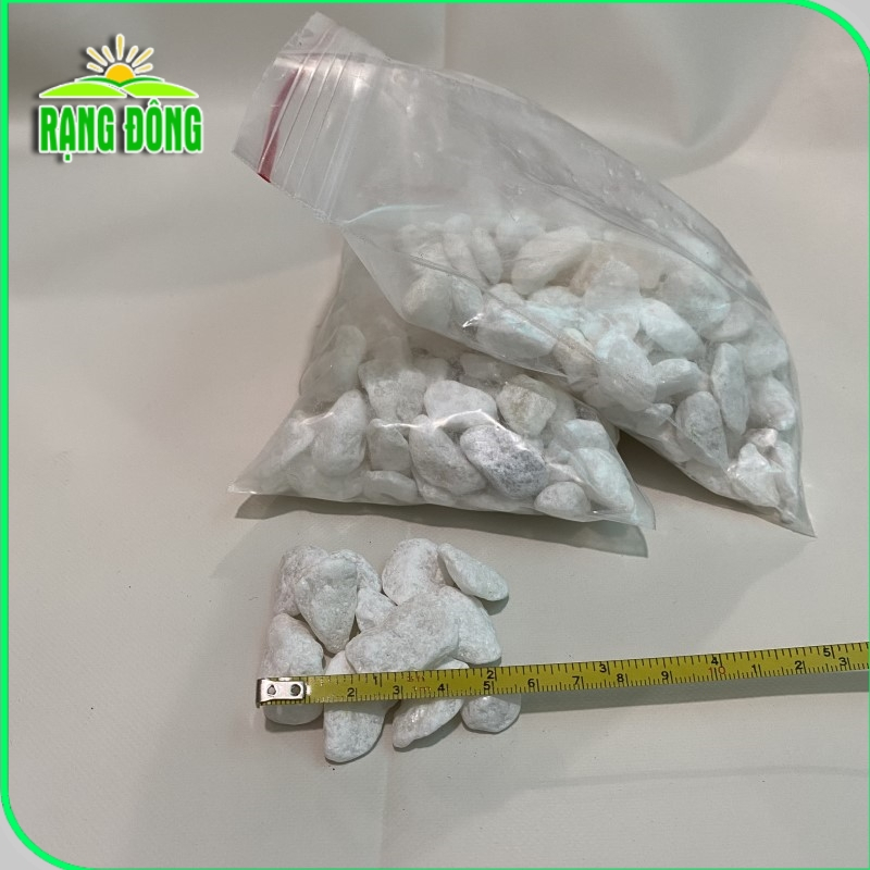 Sỏi trắng trang trí size nhỏ 2-3cm (túi 500gr) - Hạt giống Rạng Đông