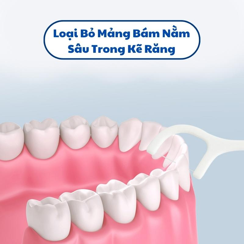 Tăm Chỉ Nha Khoa Bạc Hà Loại Bỏ Mảng Bám Ngăn Ngừa Sâu Răng, Chỉ Nha Khoa Gói 50 Chiếc Bảo Vệ Sức Khoẻ Răng Miệng