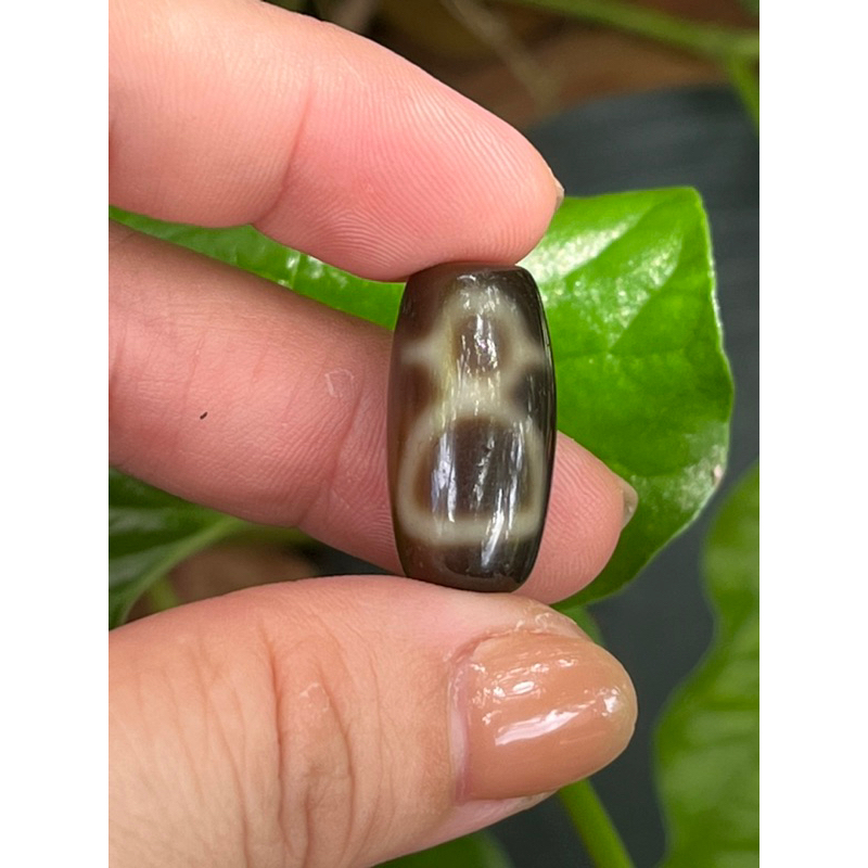 Dzi 2 mắt, 1 mắt, 9 mắt, sóng nước, bồ đề, NC, thần tài, bảo bình, 5 mắt