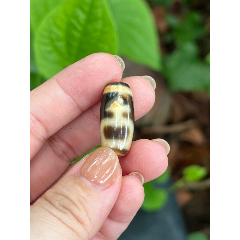 Dzi 2 mắt, 1 mắt, 9 mắt, sóng nước, bồ đề, NC, thần tài, bảo bình, 5 mắt