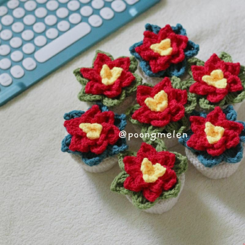 Chậu hoa trạng nguyên handmade • 𝐩𝐥𝐚𝐧𝐭𝐬 𝐩𝐨𝐢𝐧𝐬𝐞𝐭𝐭𝐢𝐚 𝐟𝐥𝐨𝐰𝐞𝐫 •