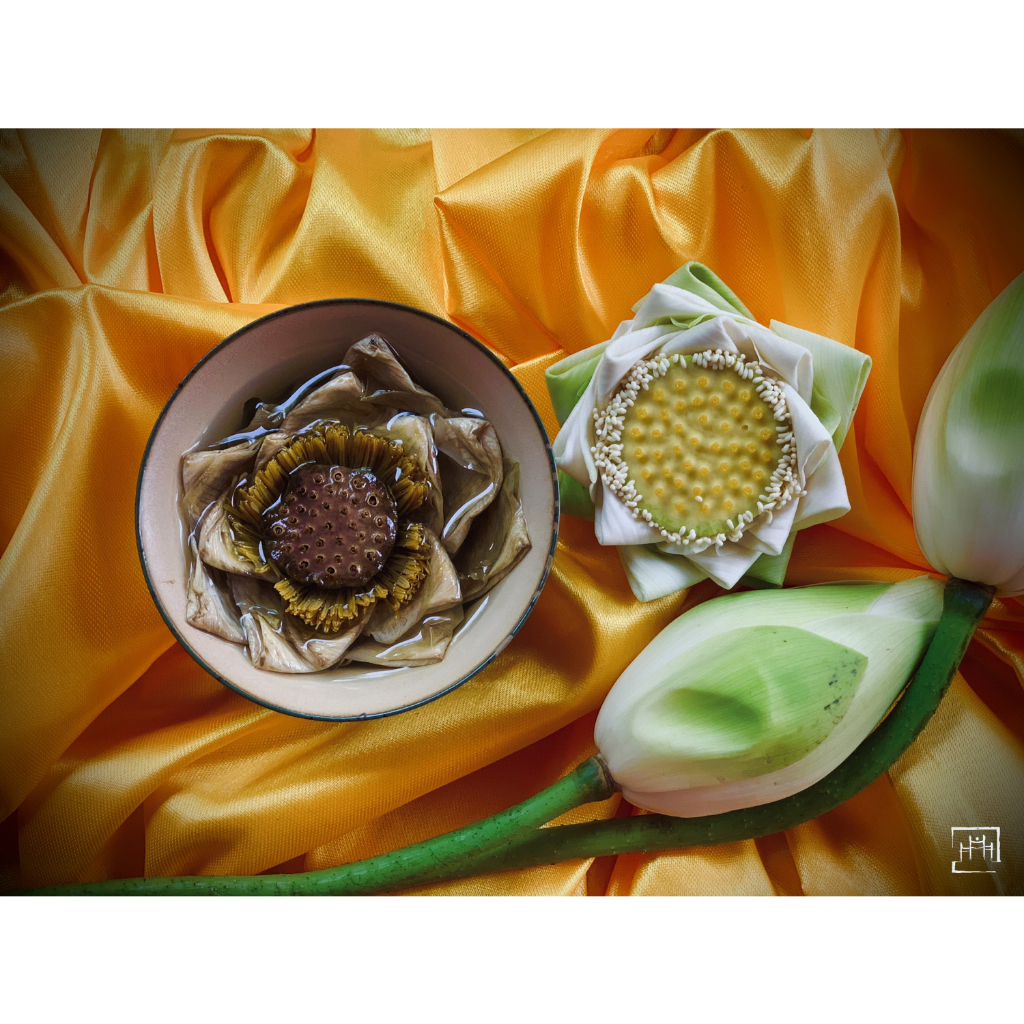 Trà hoa sen sấy xứ Huế  - Trà sen Huế - Dưỡng tâm, an thần, ngủ ngon
